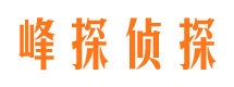 清远外遇出轨调查取证